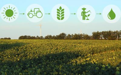 A Lavoura Como Sistema: Por Que Tudo Está Conectado na Operação Agrícola